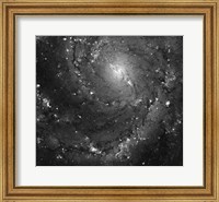 Hubble Space Telescope Imaging of Hot Gas and Star Birth in M101 Fine Art Print