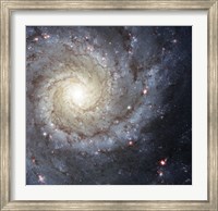 Spiral Galaxy M74 Fine Art Print