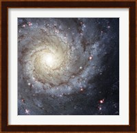 Spiral Galaxy M74 Fine Art Print