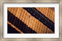 Close-up View of the Repaired Solar Array on the International Space Station Fine Art Print