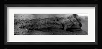Cape Verde, Mars Fine Art Print