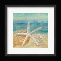 Horizon Shells I Framed Print