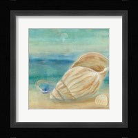 Horizon Shells II Fine Art Print