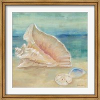 Horizon Shells III Fine Art Print