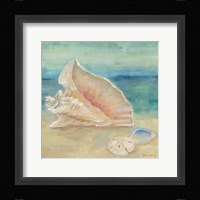 Horizon Shells III Fine Art Print