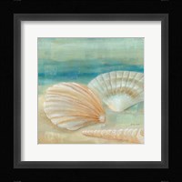 Horizon Shells IV Fine Art Print