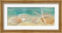 Horizon Shells Panel I Fine Art Print