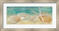 Horizon Shells Panel I Fine Art Print