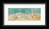 Horizon Shells Panel I Fine Art Print