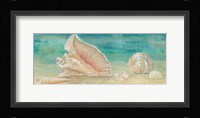 Horizon Shells Panel II Fine Art Print