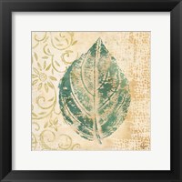 Leaf  Scroll I Framed Print