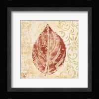 Leaf Scroll II Framed Print