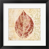 Leaf Scroll II Framed Print