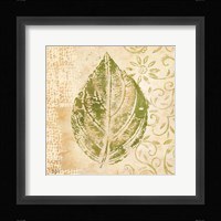 Leaf Scroll IV Framed Print