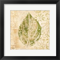 Leaf Scroll IV Framed Print