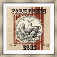 Organic Farm II Fine Art Print