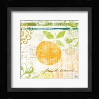 Fruit Crush III Framed Print