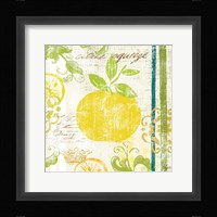 Fruit Crush IV Framed Print