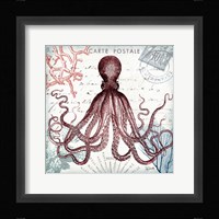 Coastal Sea Life IV Framed Print