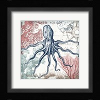 Coastal Sea Life V Framed Print