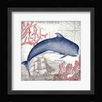 Coastal Sea Life VI Framed Print