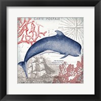 Coastal Sea Life VI Framed Print