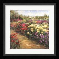 Bienfaisant II Framed Print