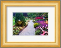 Path and Flower Beds in Butchart Gardens, Victoria, British Columbia, Canada Fine Art Print