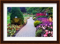 Path and Flower Beds in Butchart Gardens, Victoria, British Columbia, Canada Fine Art Print
