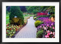 Path and Flower Beds in Butchart Gardens, Victoria, British Columbia, Canada Fine Art Print