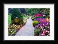Path and Flower Beds in Butchart Gardens, Victoria, British Columbia, Canada Fine Art Print