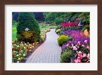 Path and Flower Beds in Butchart Gardens, Victoria, British Columbia, Canada Fine Art Print