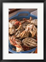 Dungeness Cooked Crab, Queen Charlotte Islands, Canada Fine Art Print
