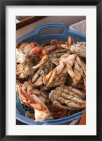 Dungeness Cooked Crab, Queen Charlotte Islands, Canada Fine Art Print