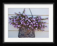 British Columbia, Victoria, Decor on House boats Fine Art Print