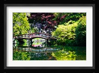 British Columbia, Vancouver, Hately Gardens bridge Fine Art Print