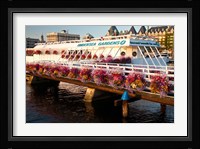 British Columbia, Victoria harbor, Undersea Gardens Fine Art Print