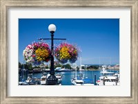 British Columbia, Victoria, Boat Harbor Fine Art Print