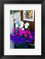 British Columbia, Victoria, Flower Pot Fine Art Print