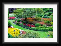 Butchart Gardens in Full Bloom, Victoria, British Columbia, Canada Fine Art Print