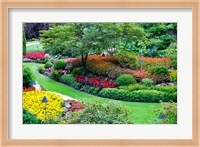 Butchart Gardens in Full Bloom, Victoria, British Columbia, Canada Fine Art Print