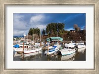 Port Alberni, Harbor Quay Marina, Vancouver Island, British Columbia, Canada Fine Art Print
