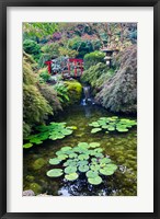 Red Bridge, Autumn Color, Butchard Gardens, Victoria, British Columbia, Canada Fine Art Print