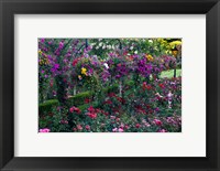 Rose Garden at Butchard Gardens In Full Bloom, Victoria, British Columbia, Canada Fine Art Print