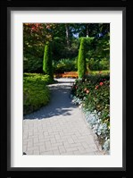Trail Through the Butchard Gardens, Victoria, British Columbia, Canada Fine Art Print