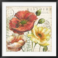 Spice Poppies Histoire Naturelle I Fine Art Print
