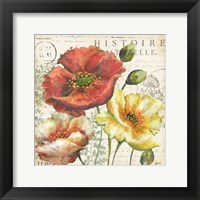 Spice Poppies Histoire Naturelle I Framed Print