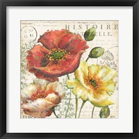 Spice Poppies Histoire Naturelle I Framed Print