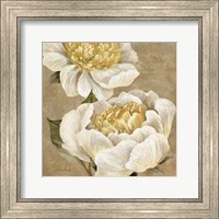 Up Close Cream Peony Fine Art Print