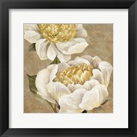 Up Close Cream Peony Fine Art Print